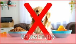 can dogs eat jello