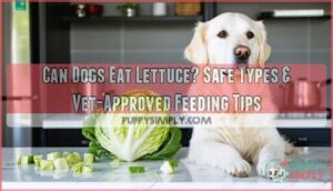 can dogs eat lettice