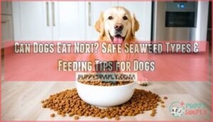 can dogs eat nori