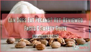 can dogs eat oecans