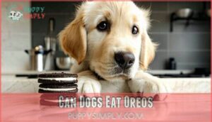 can dogs eat oreos