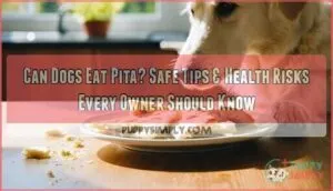 can dogs eat pita