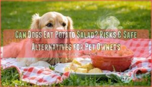 can dogs eat potato salad