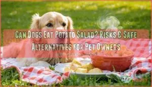 can dogs eat potato salad