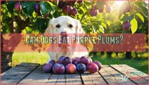 can dogs eat purple plums