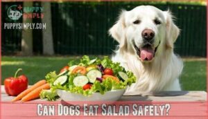 can dogs eat salad safely