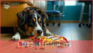 can dogs eat slim jims