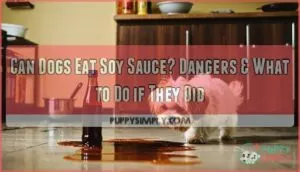 can dogs eat soy sauce