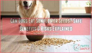 can dogs eat sunflower seeds