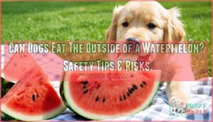 can dogs eat the outside of a watermelon