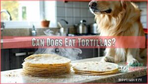 can dogs eat tortillas