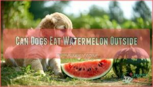 can dogs eat watermelon outside