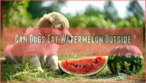 can dogs eat watermelon outside