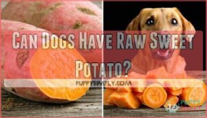 can dogs have raw sweet potato
