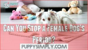 can you stop a female dog's period
