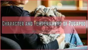 character and temperament of pugapoo character and temperament of pugapoo