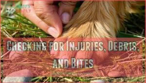 checking for injuries, debris, and bites