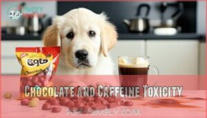 chocolate and caffeine toxicity