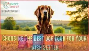 choosing the best dog food for your irish setter