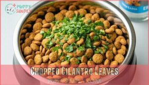 chopped cilantro leaves