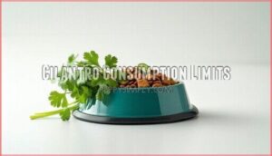 cilantro consumption limits
