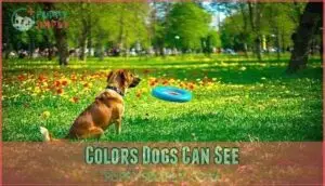 colors dogs can see colors dogs can see