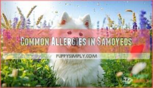 common allergies in samoyeds