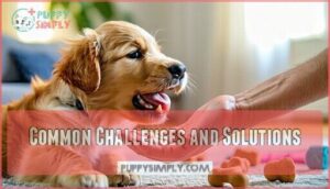 common challenges and solutions