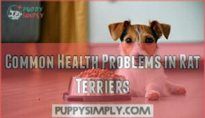 common health problems in rat terriers