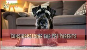 considerations for pet parents