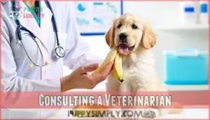 consulting a veterinarian
