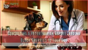 consulting a veterinarian before feeding black cherries to your dog