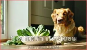 consulting with a veterinarian