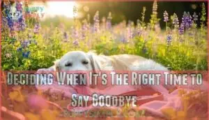 deciding when it's the right time to say goodbye