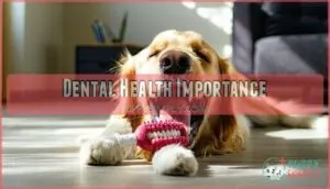dental health importance dental health importance