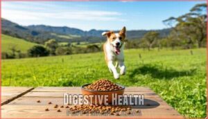 digestive health