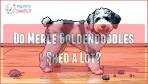 do merle goldendoodles shed a lot