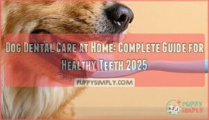 dog dental care at home
