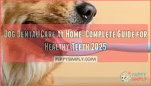 dog dental care at home