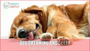 dog dreaming and sleep