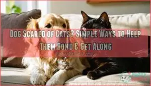 dog scared of cats dog scared of cats