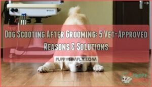 dog scooting after grooming