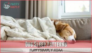dog sleep patterns
