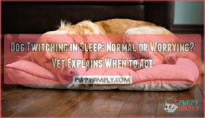 dog twitching in sleep