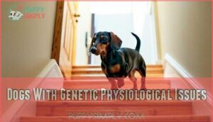 dogs with genetic physiological issues