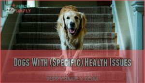 dogs with (specific) health issues