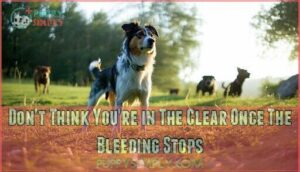 don't think you're in the clear once the bleeding stops
