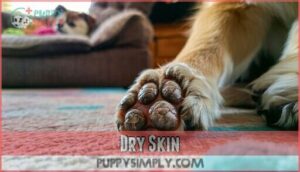 dry skin