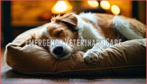 emergency veterinary care