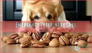 emergency veterinary care emergency veterinary care